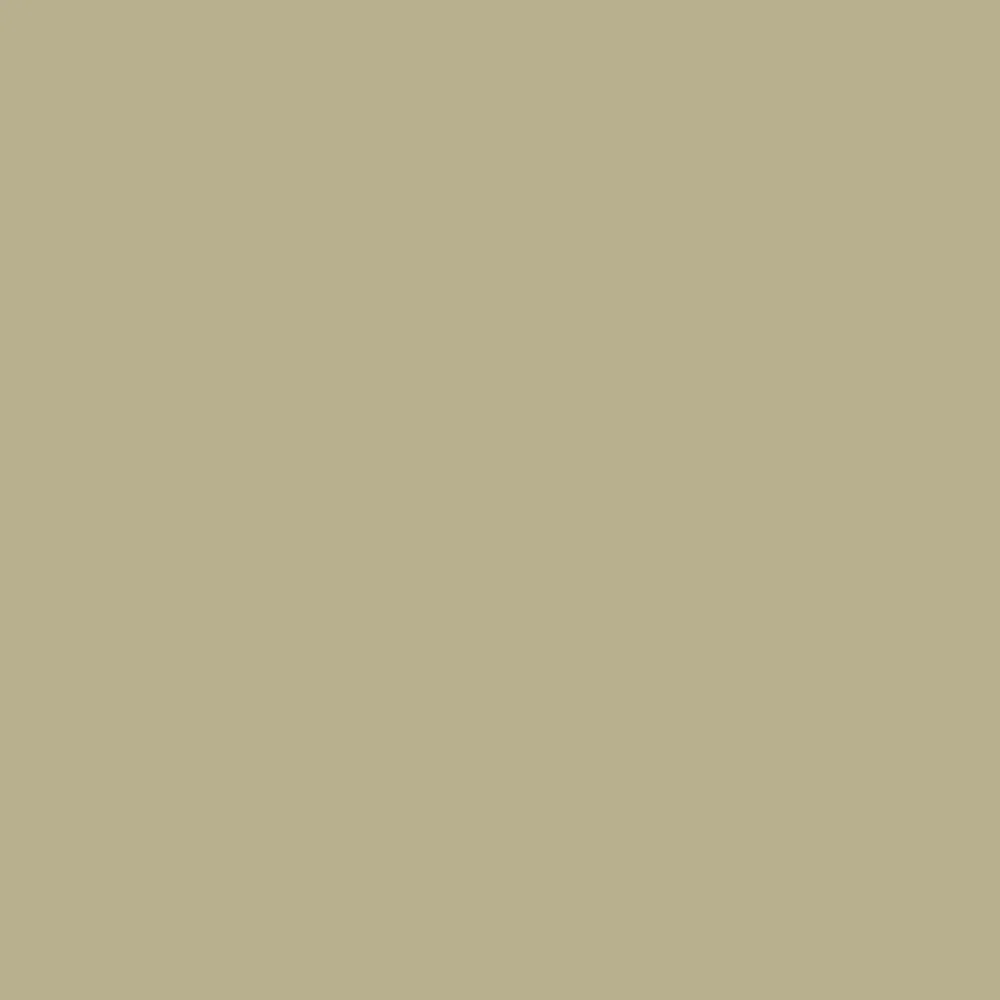 342 Country White Brown Maple - OCS