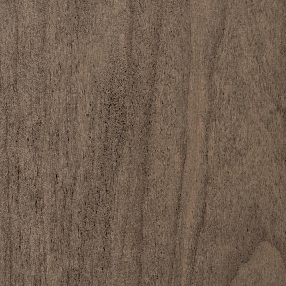 PCL - Driftwood - SP