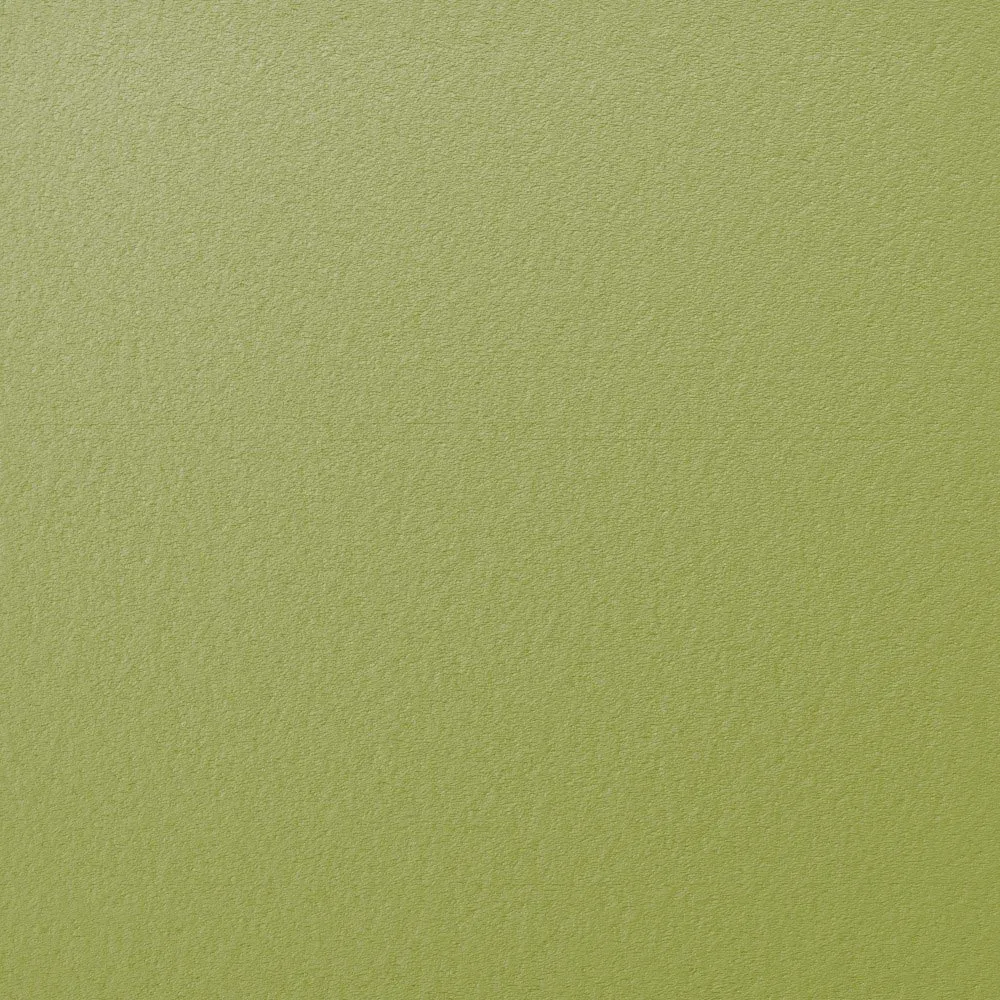 Kiwi Green - BG