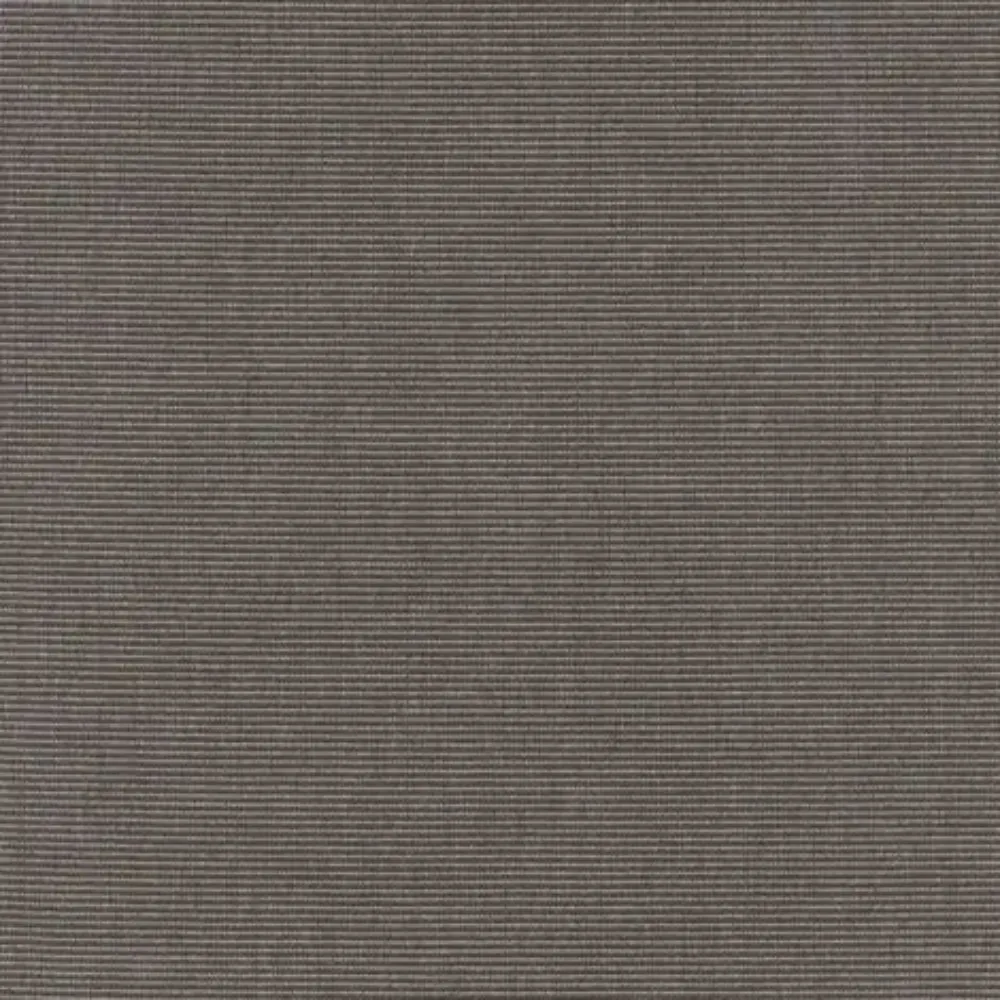 Canvas Coal - SO